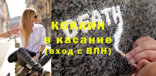 дживик Абаза