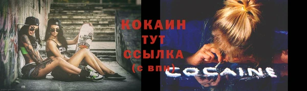 дживик Абаза