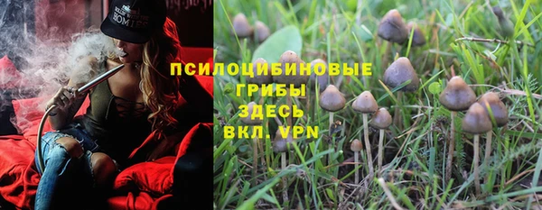 дживик Абаза