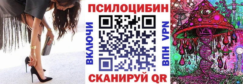 мориарти состав  Циолковский  Галлюциногенные грибы Magic Shrooms 