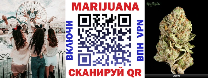 Шишки марихуана гибрид  Циолковский 
